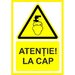 Placuta atentie la cap